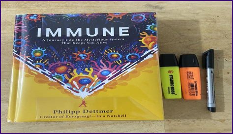 A Journey Into Musical Depth And Discovery